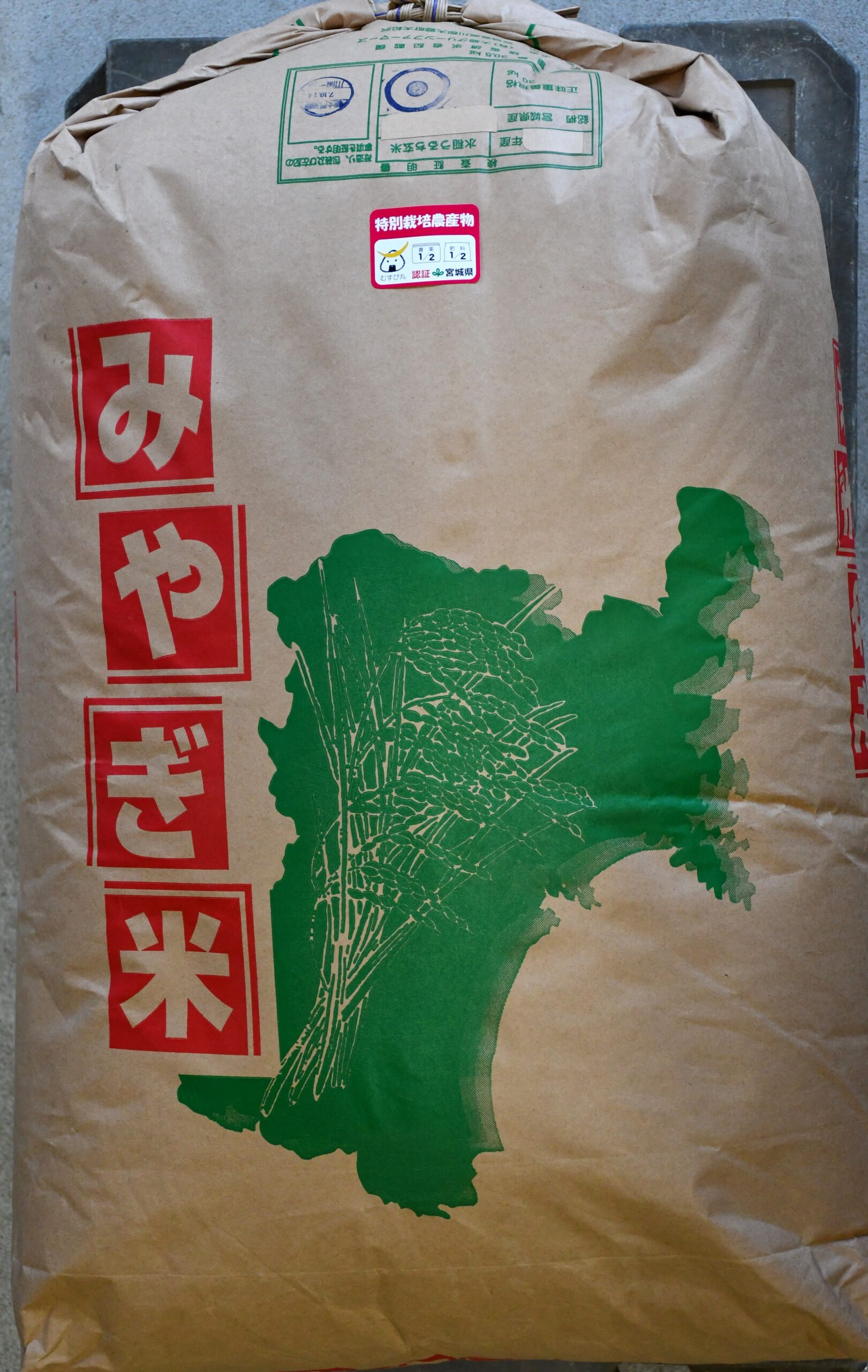 【早割米10/2締切】宮城県産令和8年産　特別栽培　ひとめぼれ　玄米30kg